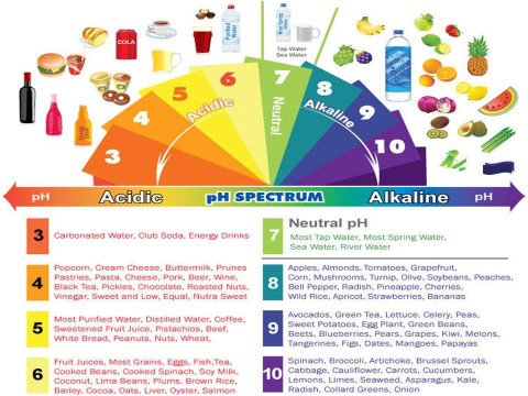 pH Foods 