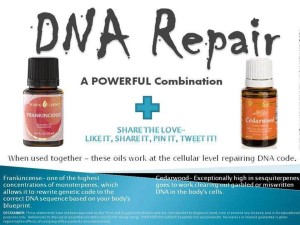 DNA Repair