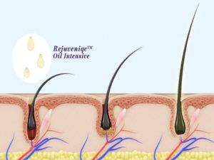 oil-rejuvenique