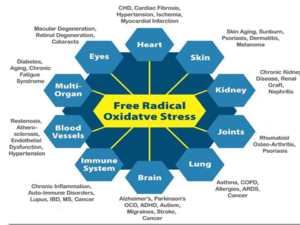 Disease from Oxidative Stress